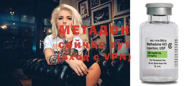 прущие грибы Рославль