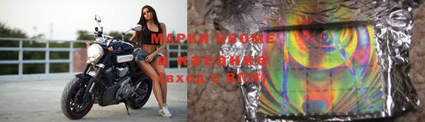 прущие грибы Рославль