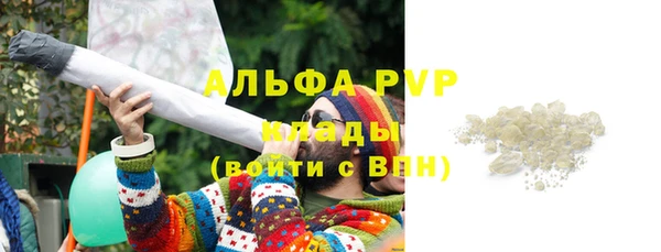 ПСИЛОЦИБИНОВЫЕ ГРИБЫ Верея
