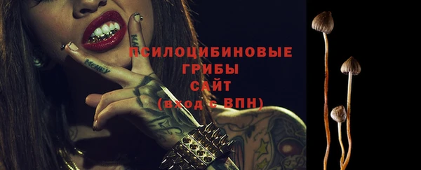 ПСИЛОЦИБИНОВЫЕ ГРИБЫ Верея