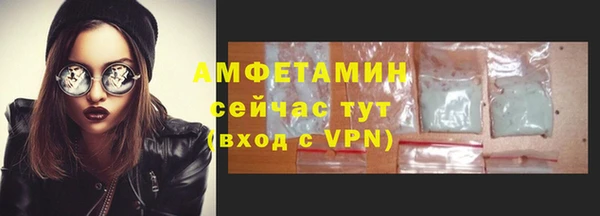 ПСИЛОЦИБИНОВЫЕ ГРИБЫ Верея