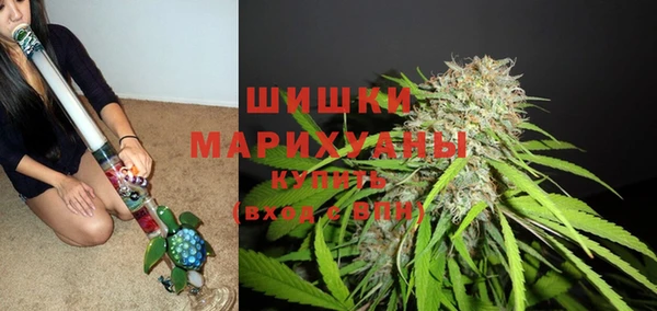 ПСИЛОЦИБИНОВЫЕ ГРИБЫ Верея