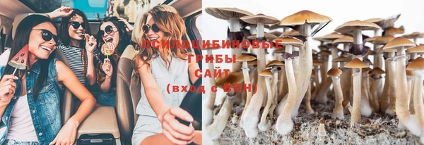ПСИЛОЦИБИНОВЫЕ ГРИБЫ Верея