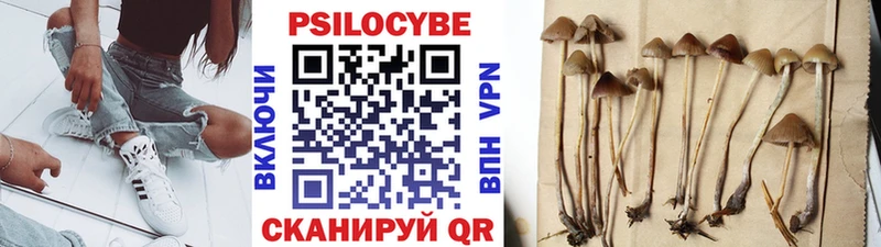 Псилоцибиновые грибы мицелий  Купить закладки  Новочебоксарск 